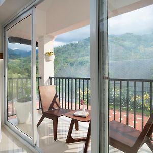 Suite Mountain View