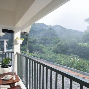 Double Room Mountain View